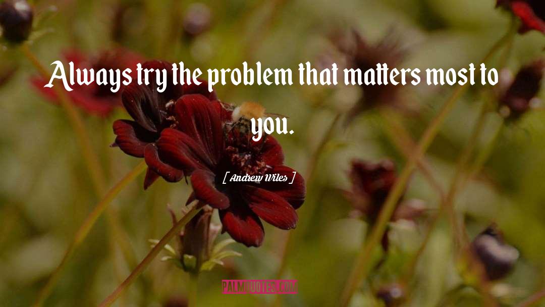 Andrew Wiles Quotes: Always try the problem that