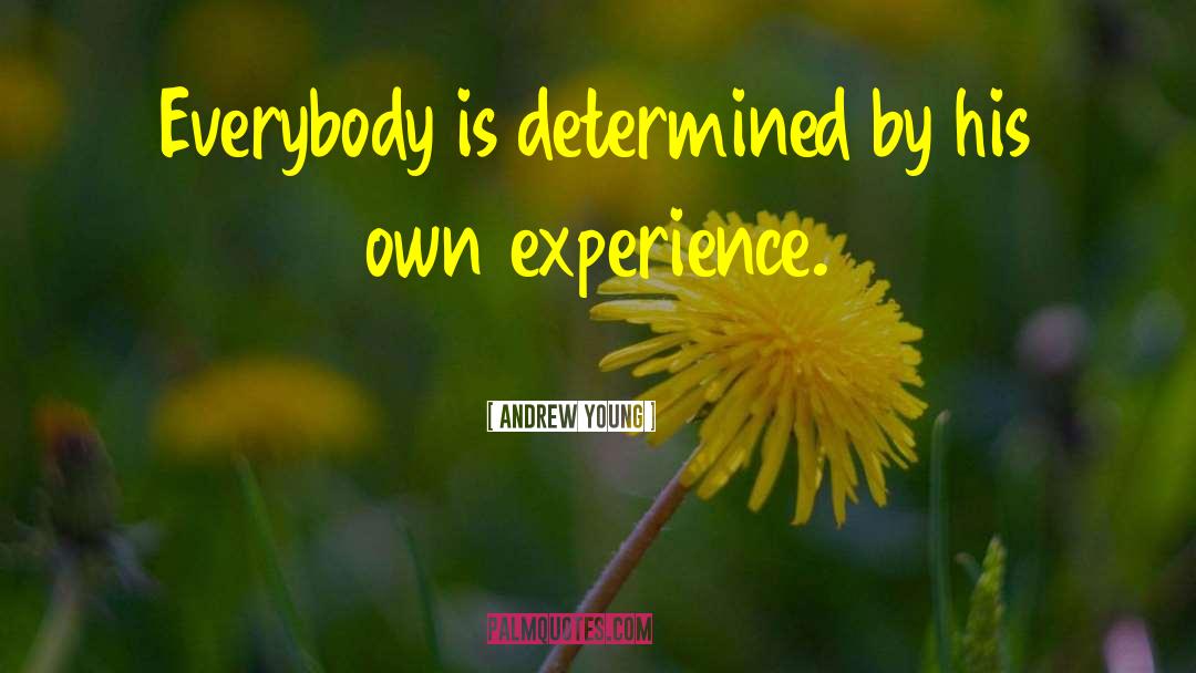 Andrew Young Quotes: Everybody is determined by his