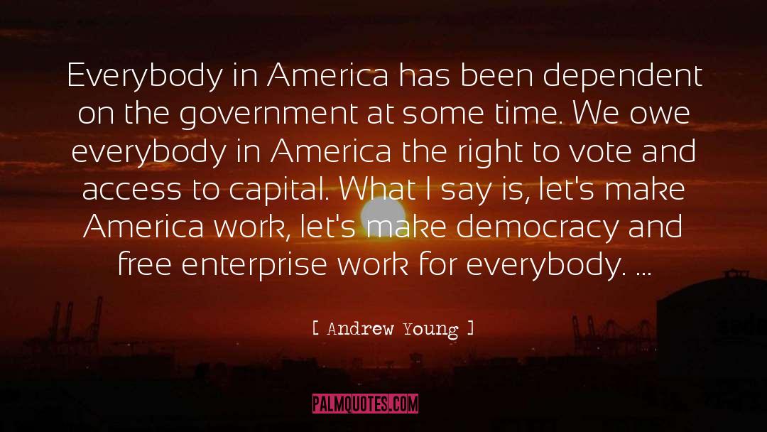 Andrew Young Quotes: Everybody in America has been