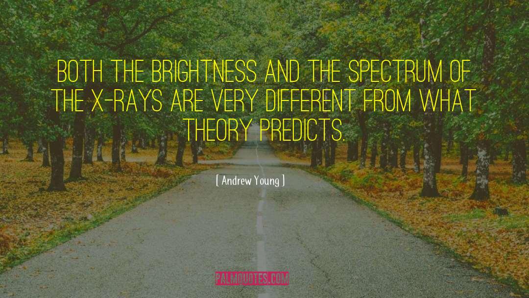 Andrew Young Quotes: Both the brightness and the