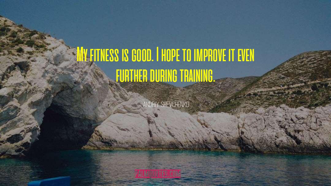 Andriy Shevchenko Quotes: My fitness is good. I