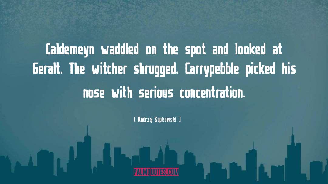 Andrzej Sapkowski Quotes: Caldemeyn waddled on the spot