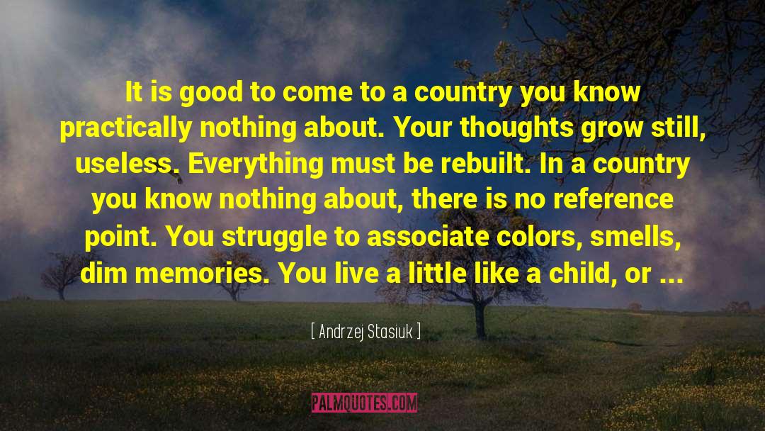 Andrzej Stasiuk Quotes: It is good to come