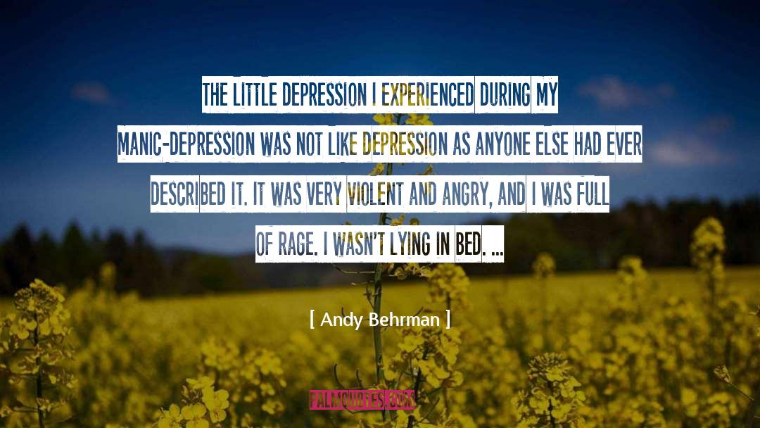 Andy Behrman Quotes: The little depression I experienced