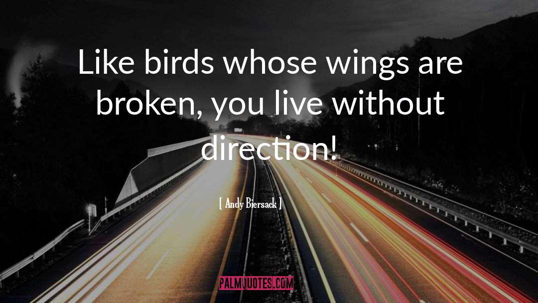 Andy Biersack Quotes: Like birds whose wings are