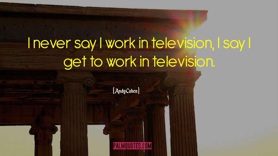 Andy Cohen Quotes: I never say I work