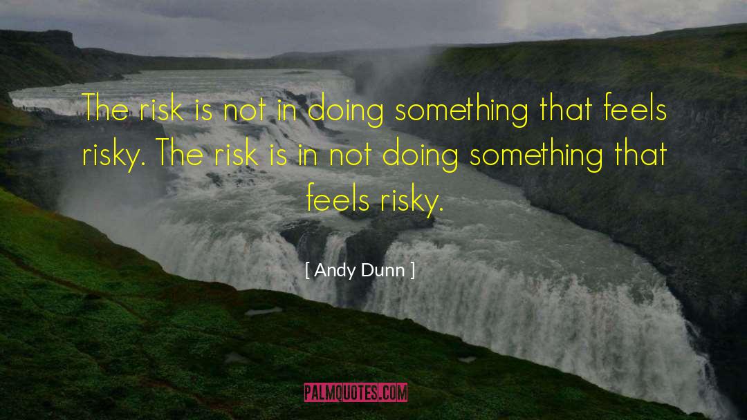 Andy Dunn Quotes: The risk is not in