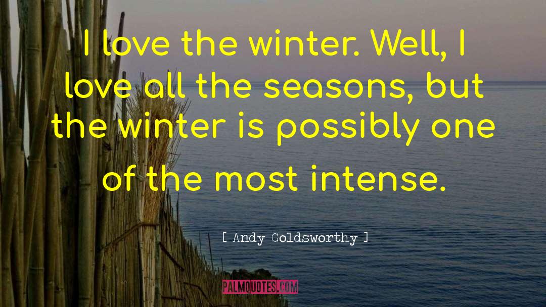 Andy Goldsworthy Quotes: I love the winter. Well,