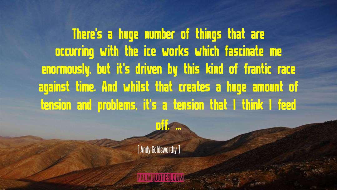 Andy Goldsworthy Quotes: There's a huge number of