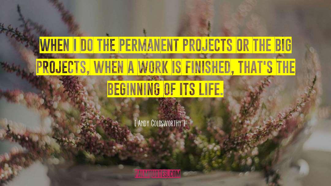 Andy Goldsworthy Quotes: When I do the permanent