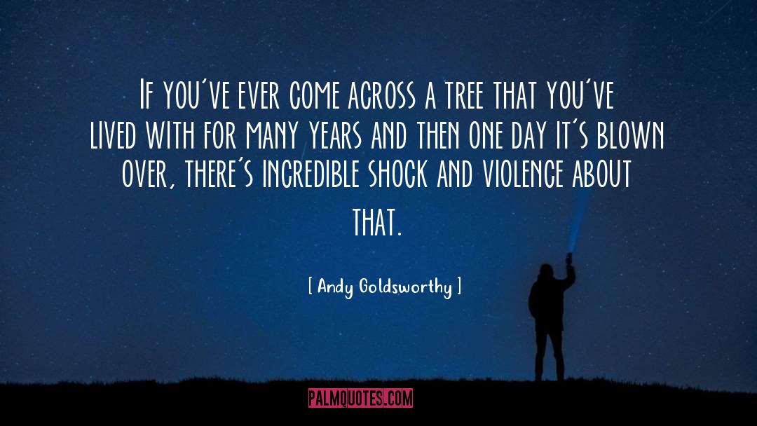 Andy Goldsworthy Quotes: If you've ever come across