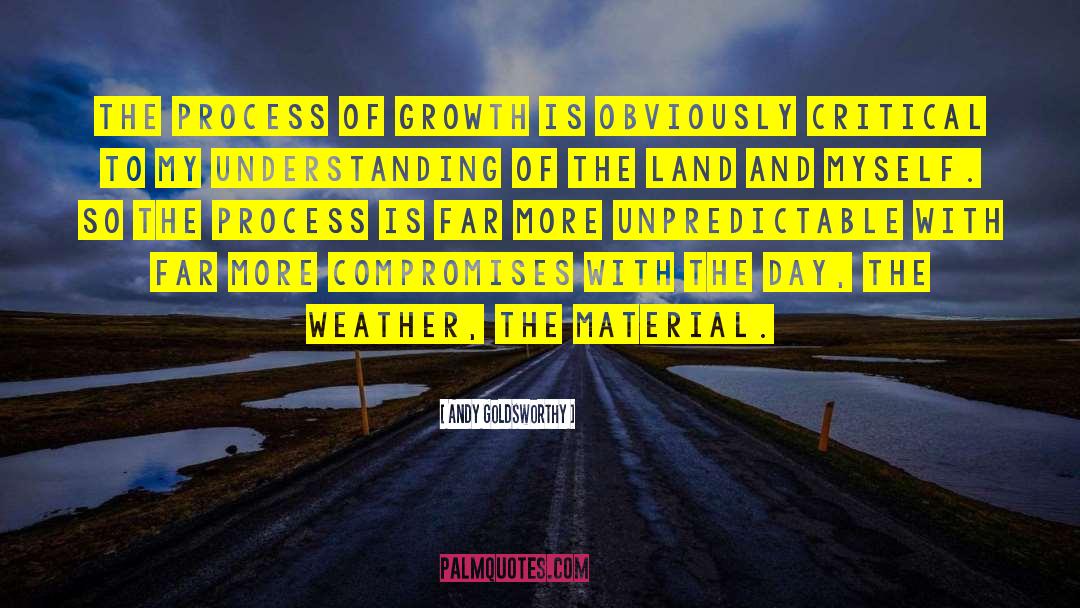 Andy Goldsworthy Quotes: The process of growth is