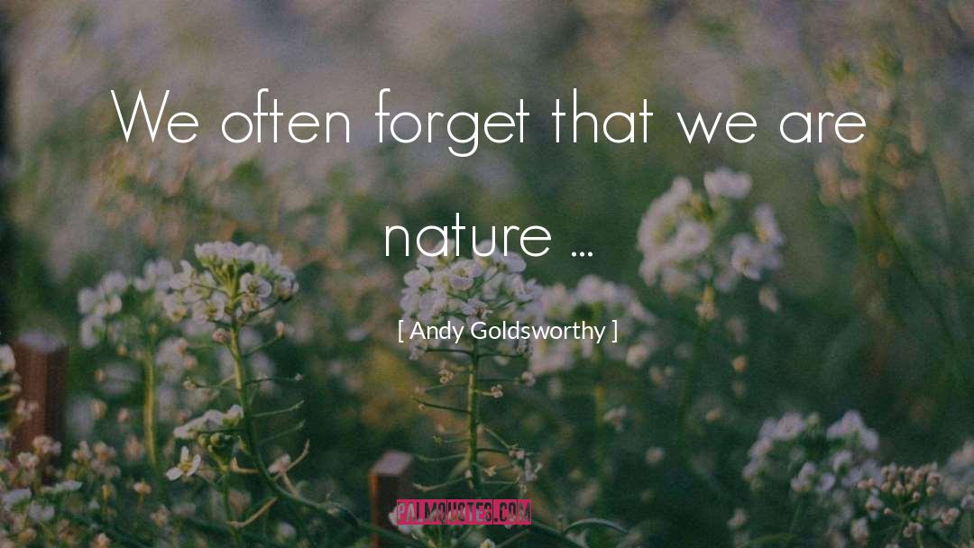 Andy Goldsworthy Quotes: We often forget that we