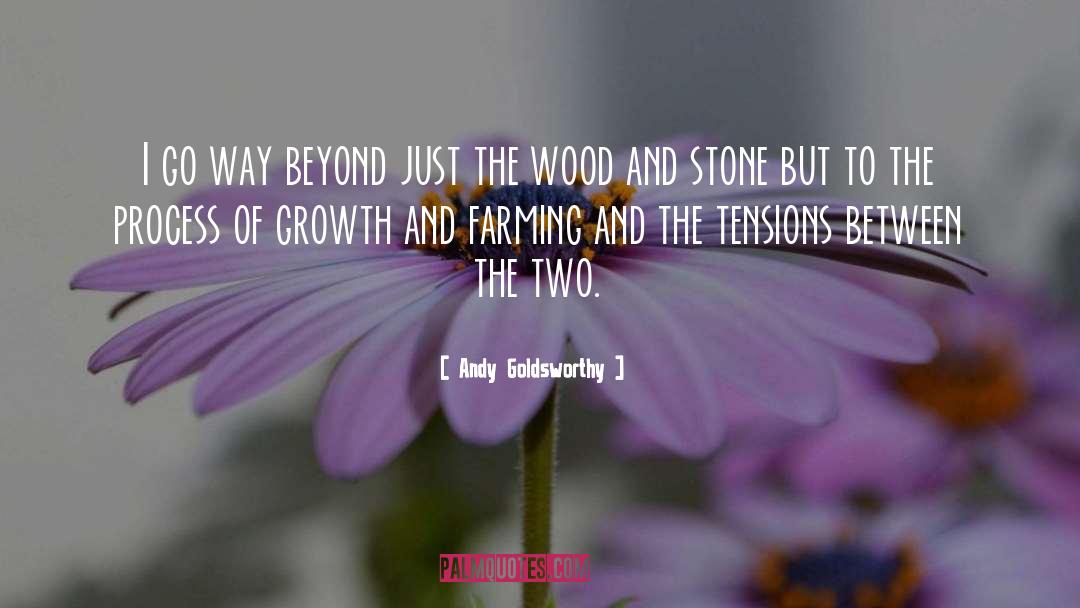 Andy Goldsworthy Quotes: I go way beyond just