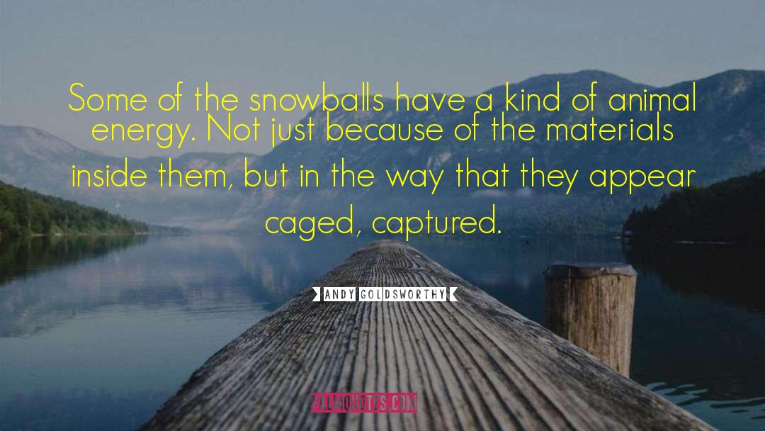 Andy Goldsworthy Quotes: Some of the snowballs have