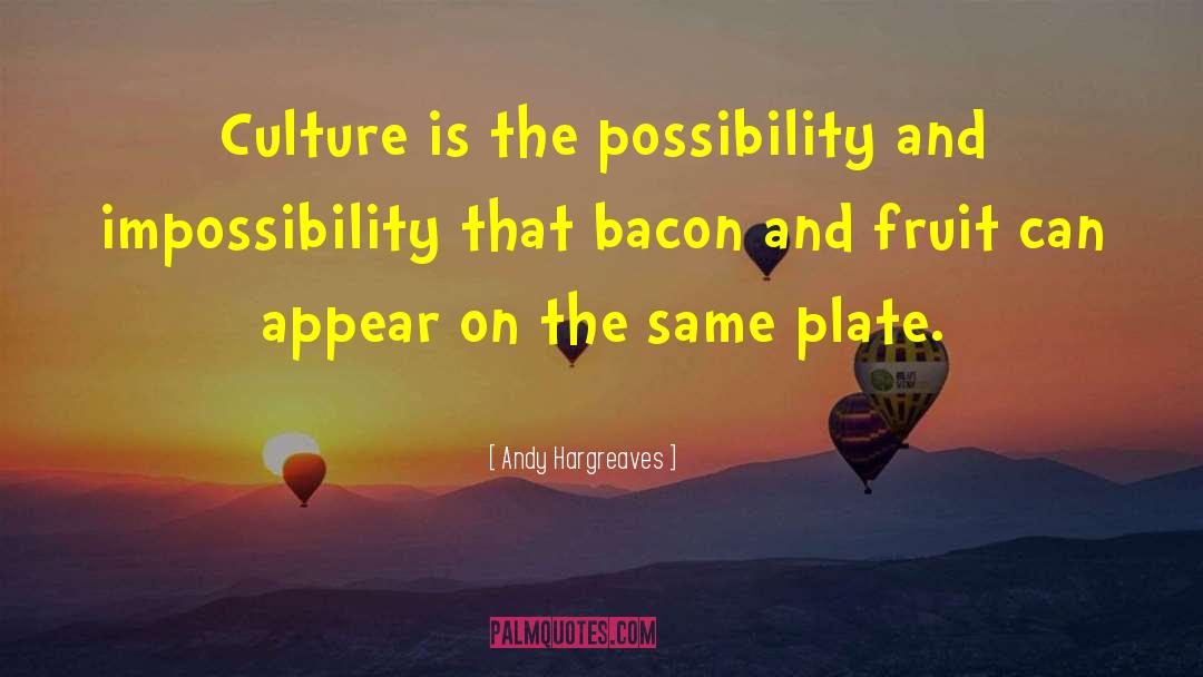 Andy Hargreaves Quotes: Culture is the possibility and