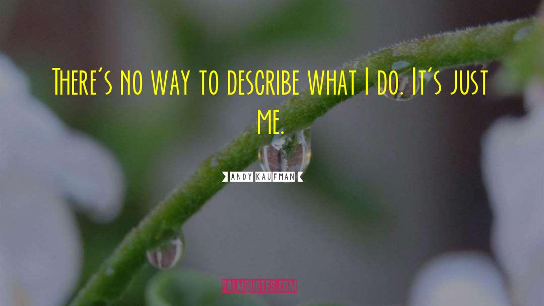 Andy Kaufman Quotes: There's no way to describe