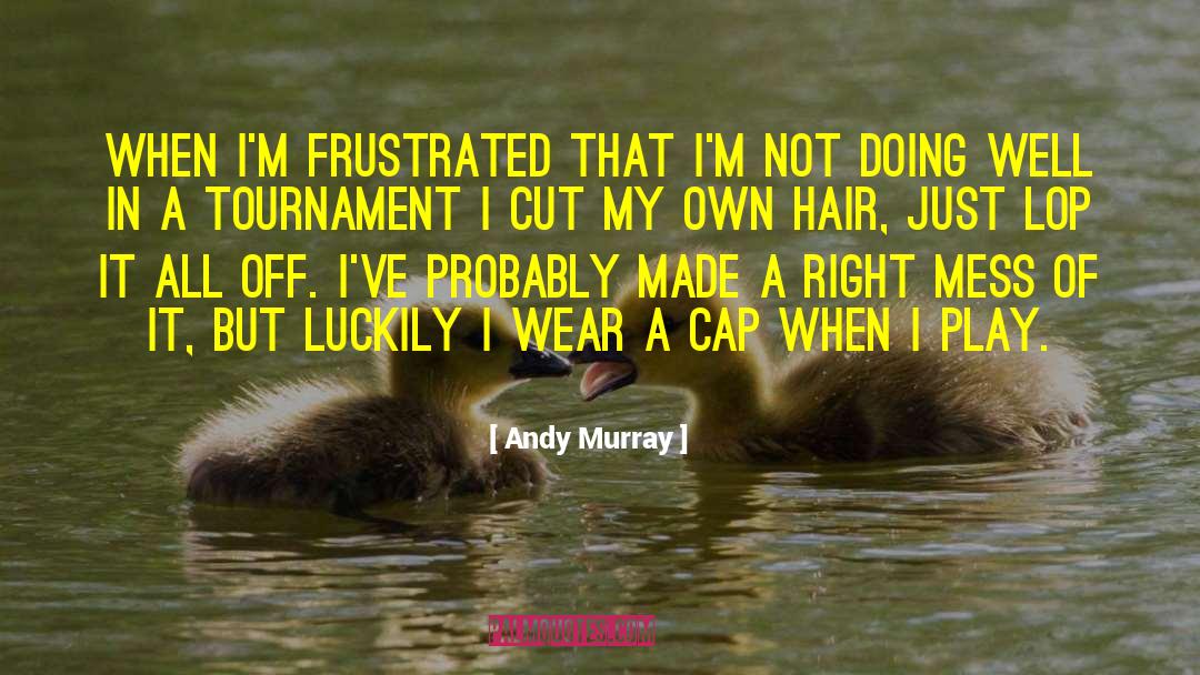 Andy Murray Quotes: When I'm frustrated that I'm