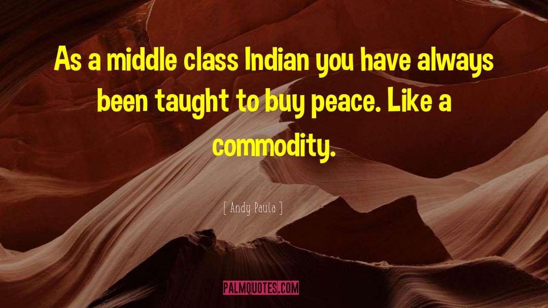 Andy Paula Quotes: As a middle class Indian