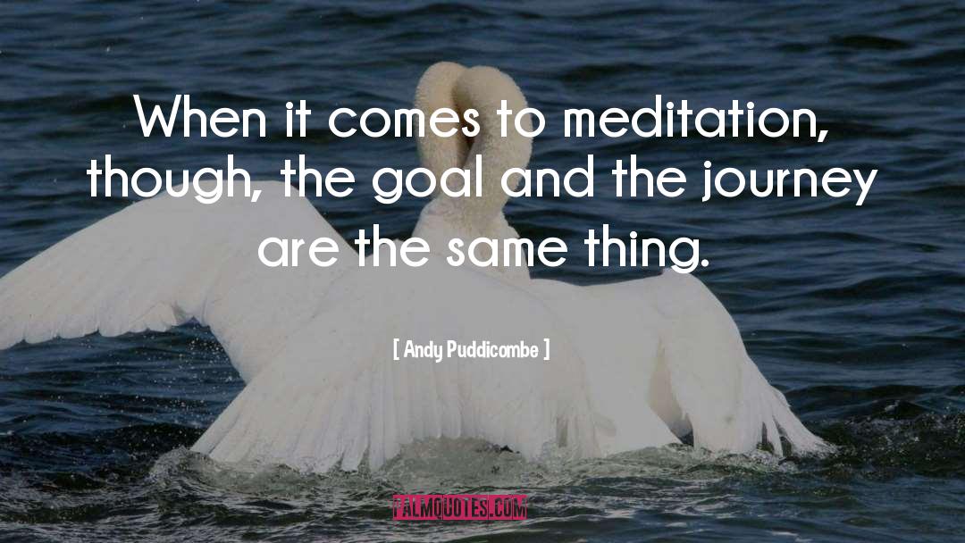 Andy Puddicombe Quotes: When it comes to meditation,