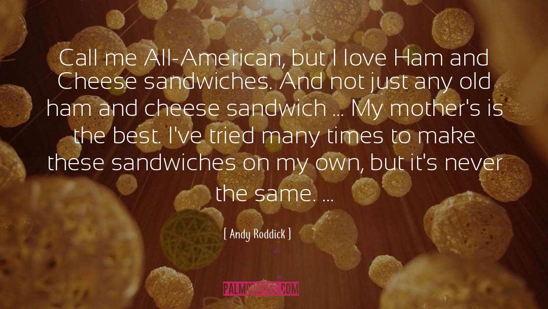 Andy Roddick Quotes: Call me All-American, but I