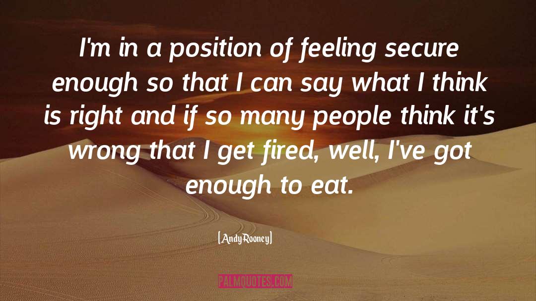 Andy Rooney Quotes: I'm in a position of