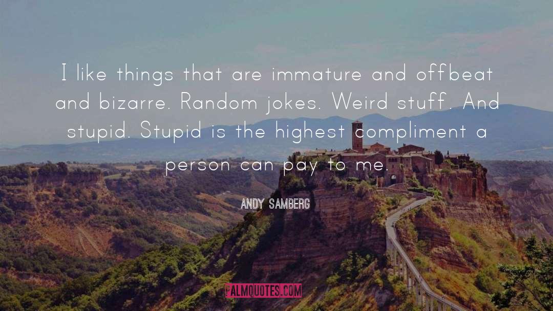 Andy Samberg Quotes: I like things that are