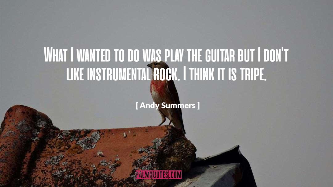 Andy Summers Quotes: What I wanted to do