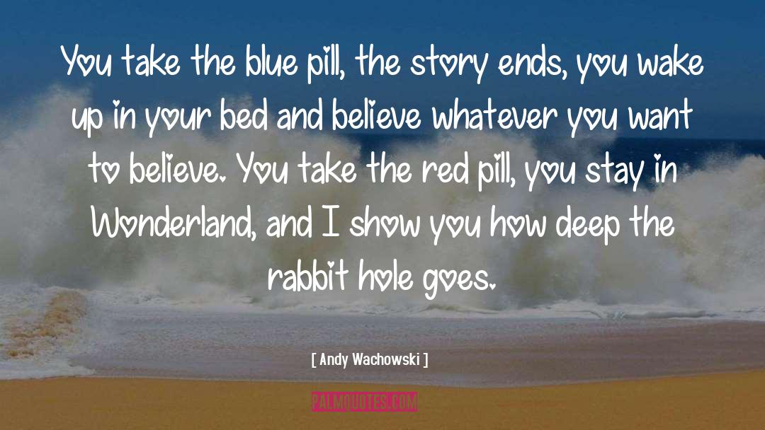 Andy Wachowski Quotes: You take the blue pill,