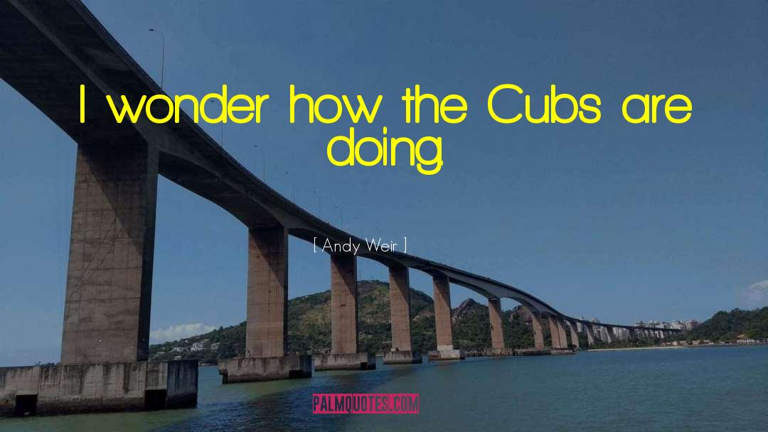 Andy Weir Quotes: I wonder how the Cubs