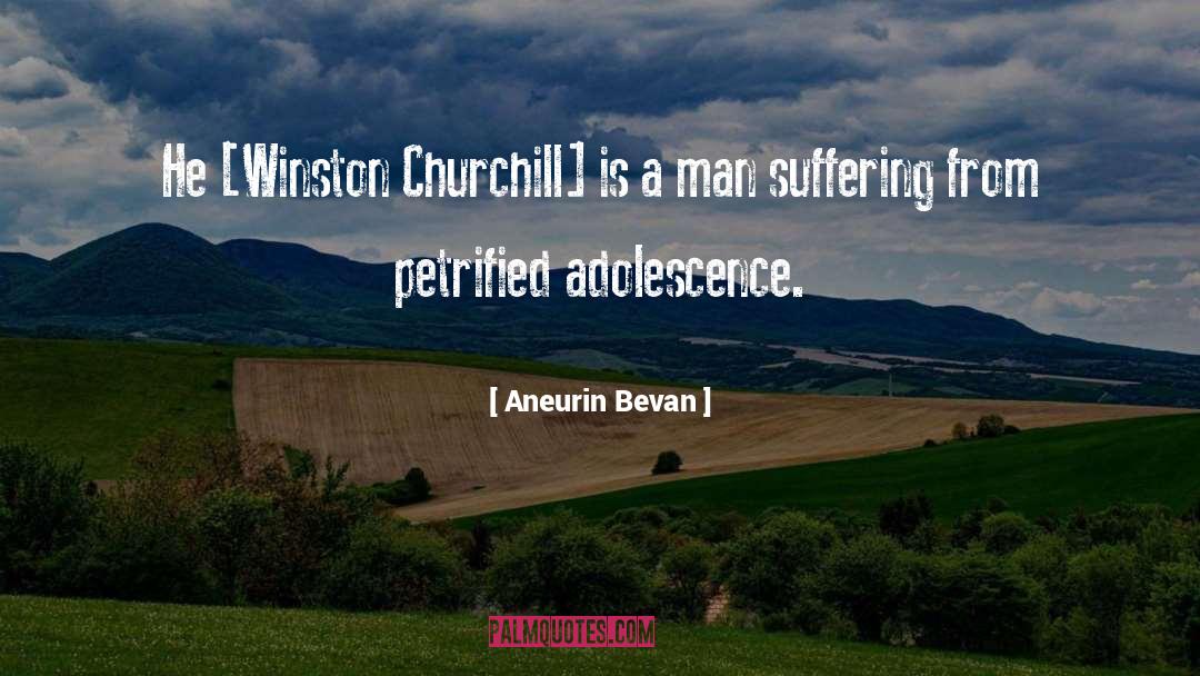 Aneurin Bevan Quotes: He [Winston Churchill] is a