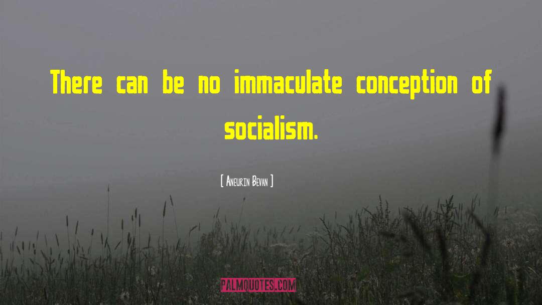 Aneurin Bevan Quotes: There can be no immaculate