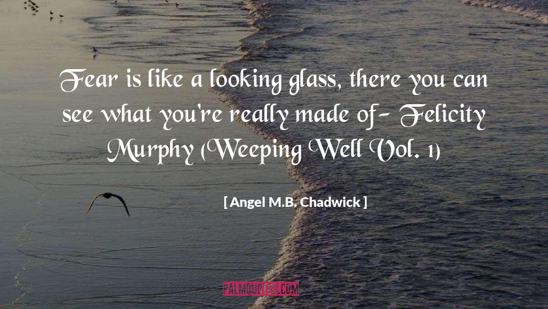 Angel M.B. Chadwick Quotes: Fear is like a looking