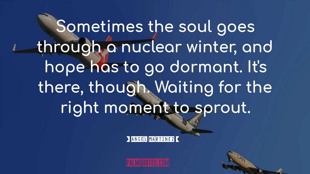 Angel Martinez Quotes: Sometimes the soul goes through