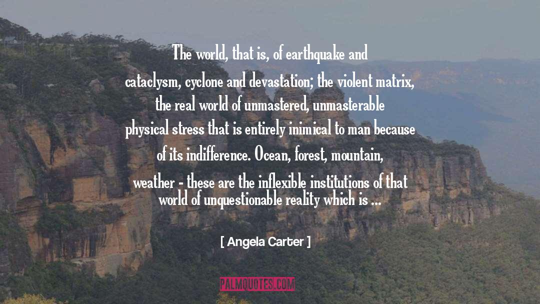 Angela Carter Quotes: The world, that is, of