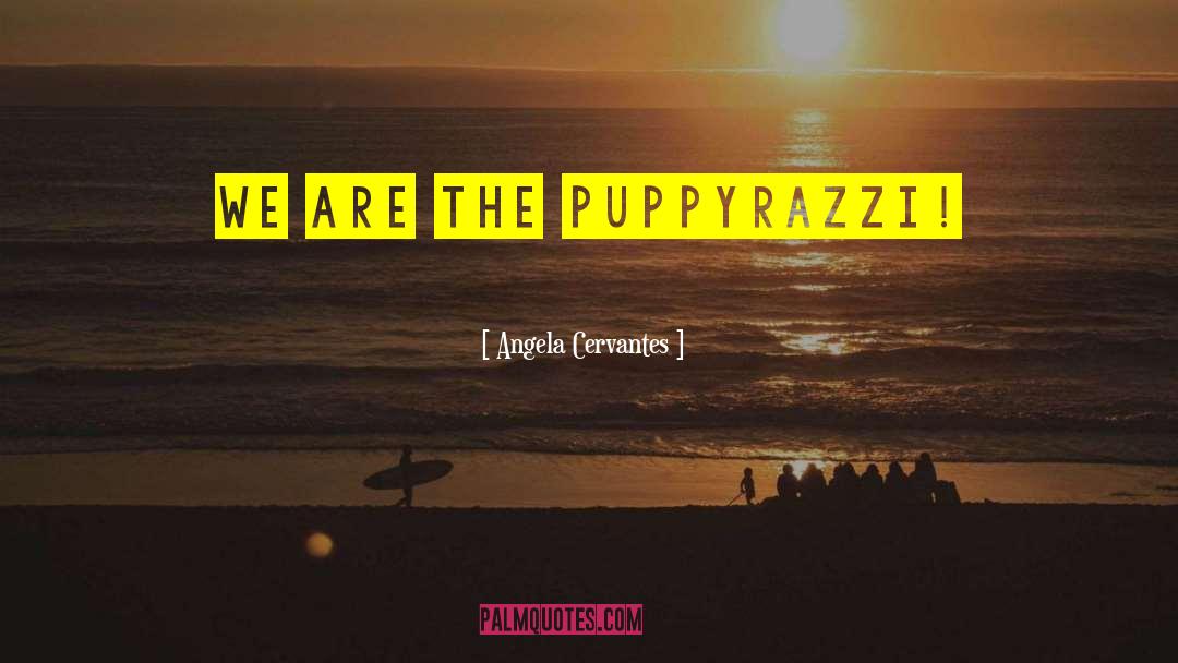 Angela Cervantes Quotes: We are the puppyrazzi!