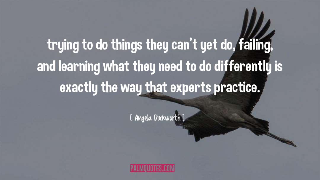 Angela Duckworth Quotes: trying to do things they