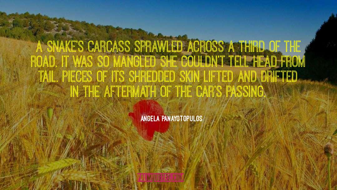 Angela Panayotopulos Quotes: A snake's carcass sprawled across