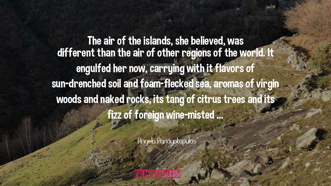 Angela Panayotopulos Quotes: The air of the islands,