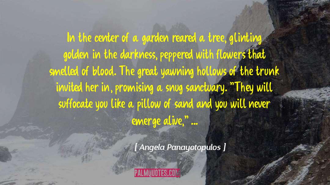 Angela Panayotopulos Quotes: In the center of a