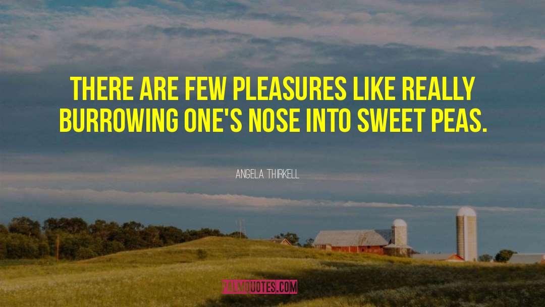 Angela Thirkell Quotes: There are few pleasures like