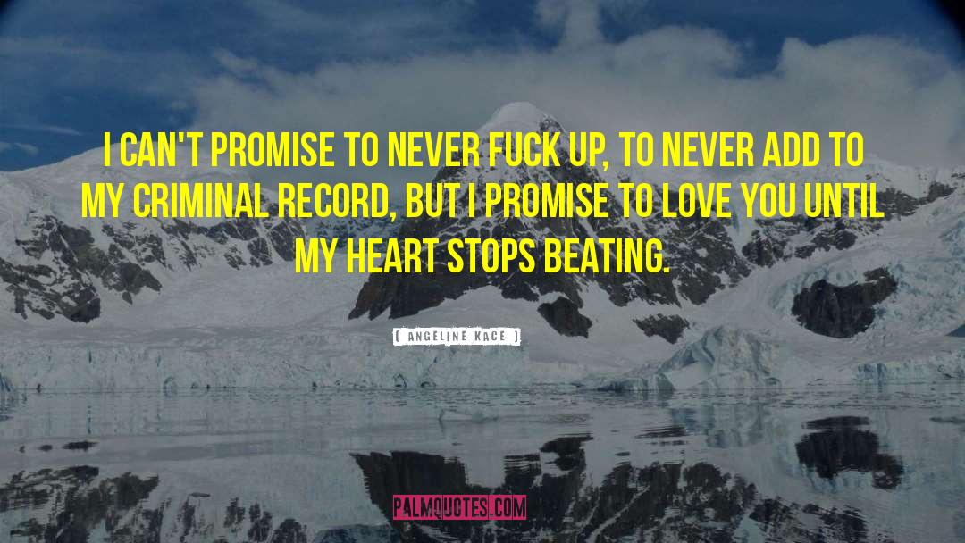 Angeline Kace Quotes: I can't promise to never