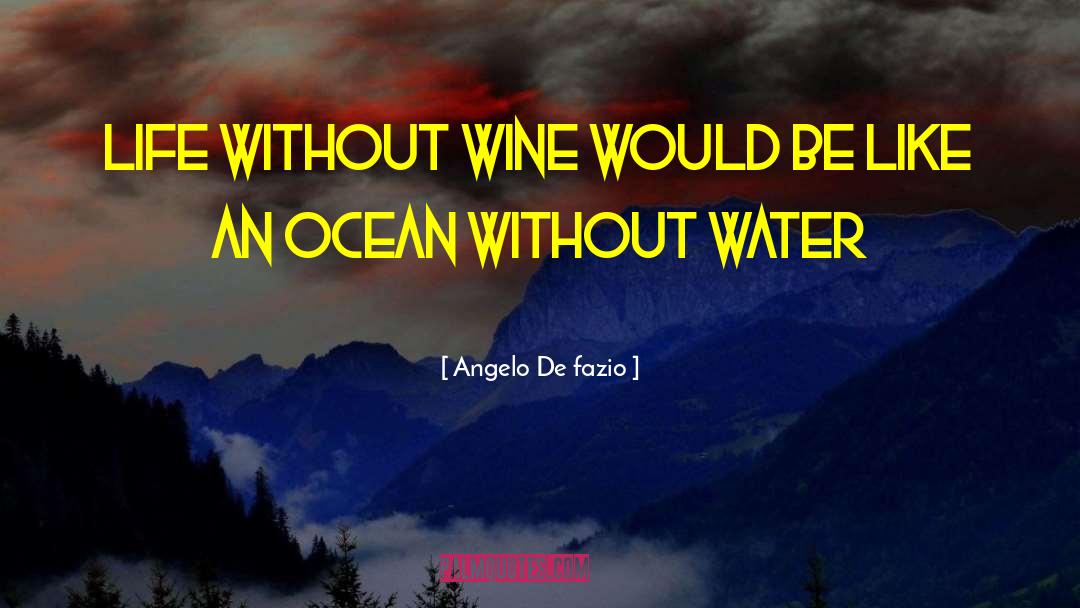 Angelo De Fazio Quotes: Life without wine would be