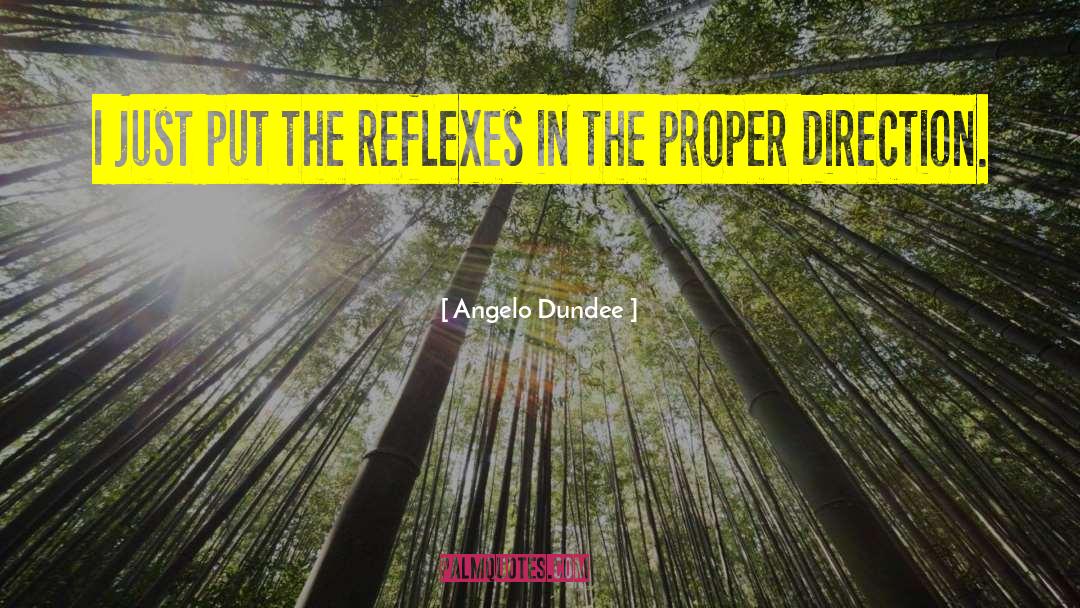 Angelo Dundee Quotes: I just put the reflexes