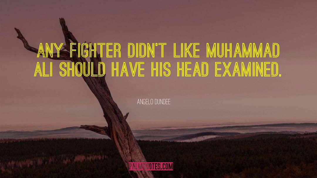 Angelo Dundee Quotes: Any fighter didn't like Muhammad