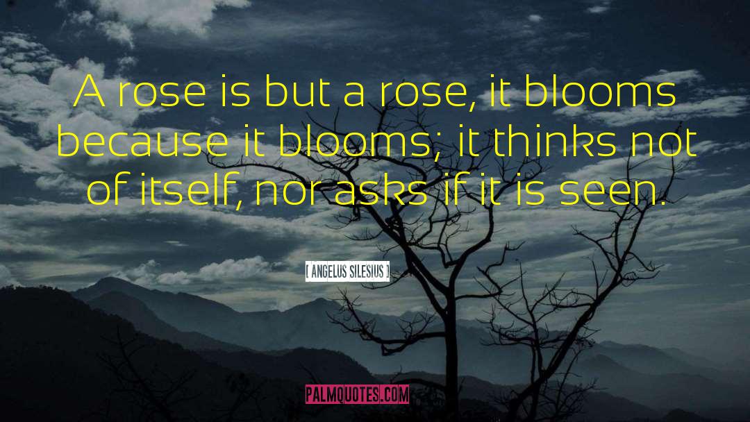 Angelus Silesius Quotes: A rose is but a