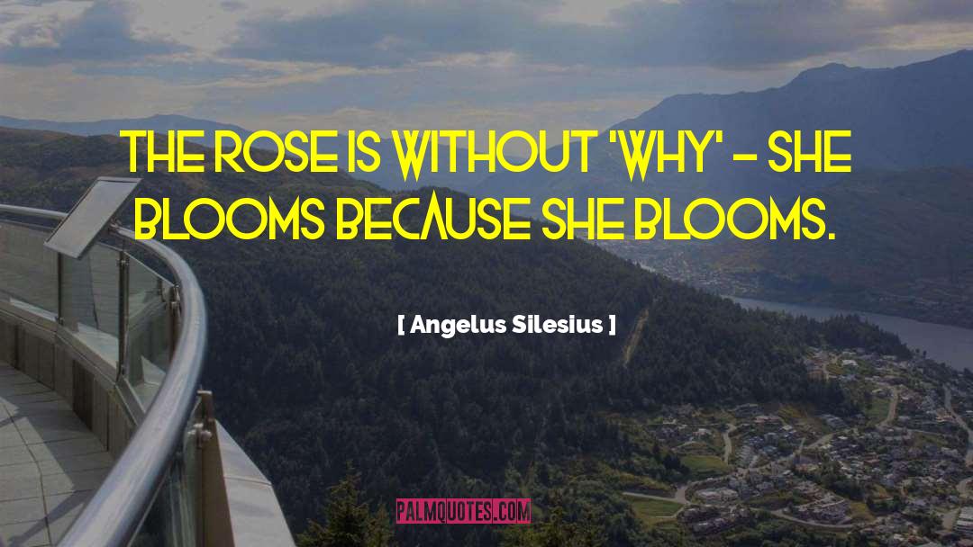 Angelus Silesius Quotes: The Rose is without 'why'