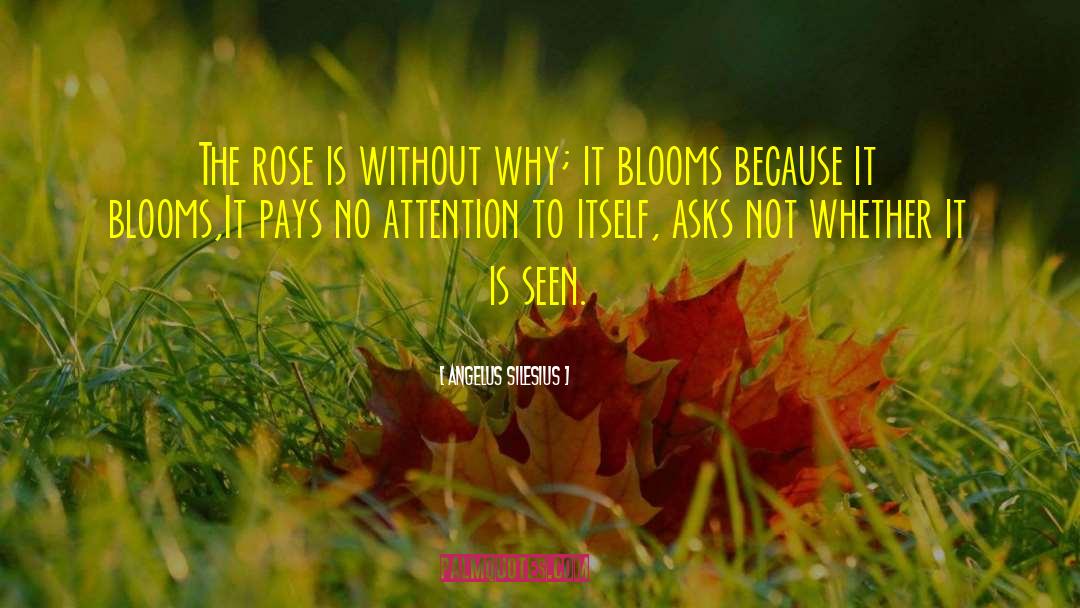 Angelus Silesius Quotes: The rose is without why;