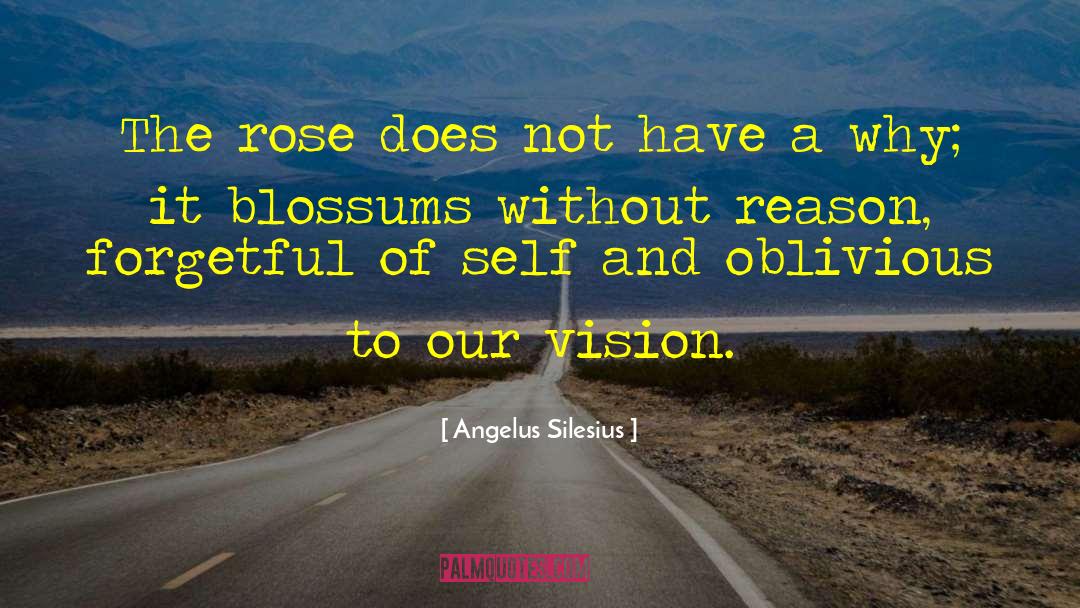 Angelus Silesius Quotes: The rose does not have