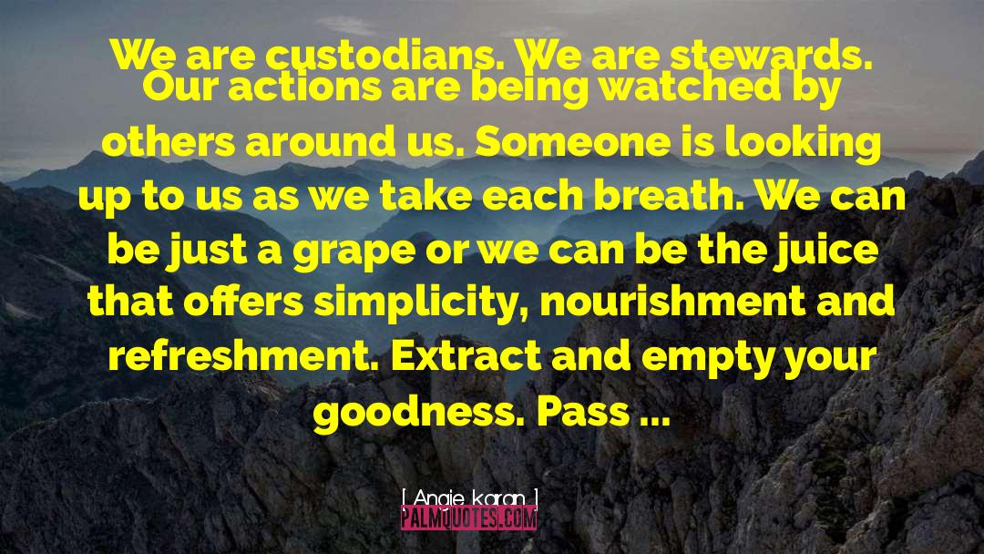 Angie Karan Quotes: We are custodians. We are
